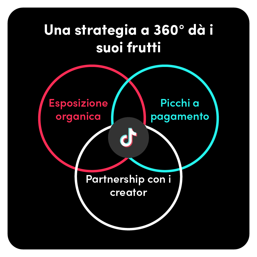 grafico strategia TikTok Ads