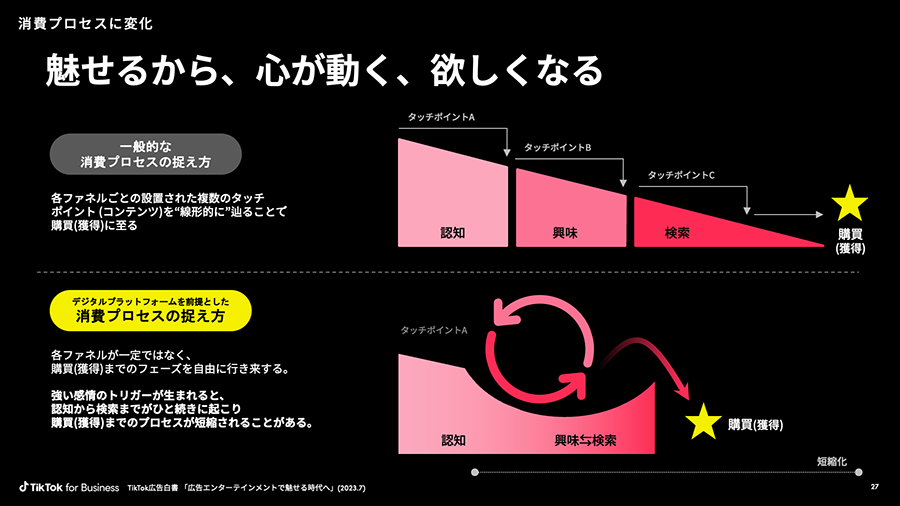 tiktok-ads-wp-09