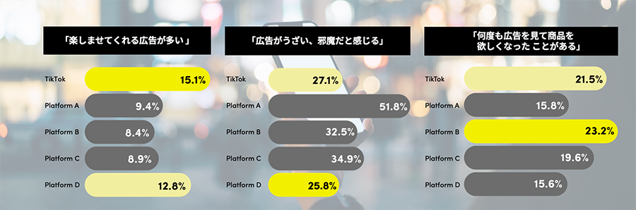 tiktok-ads-wp-07