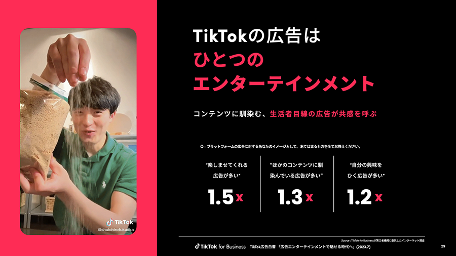 tiktok-ads-wp-10