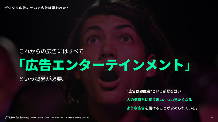 tiktok-ads-wp-05