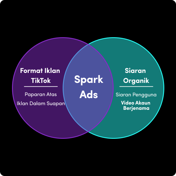 venn-my