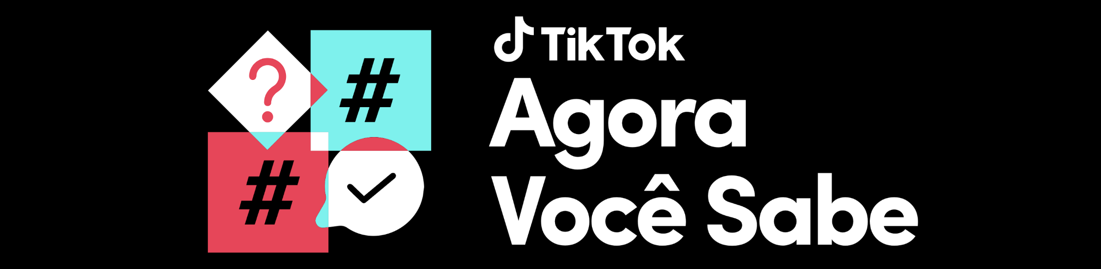 TikTok #AgoraVocêSabe hero