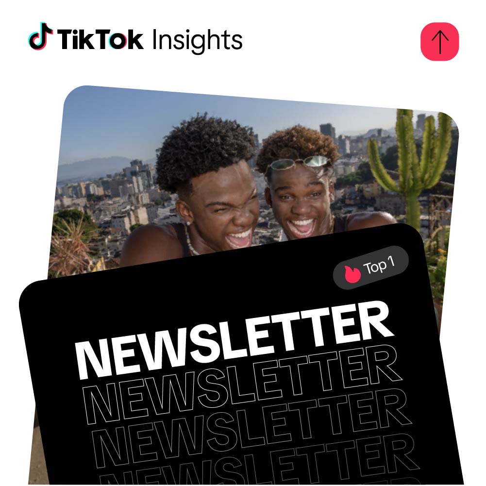 tiktok insights BR SEO
