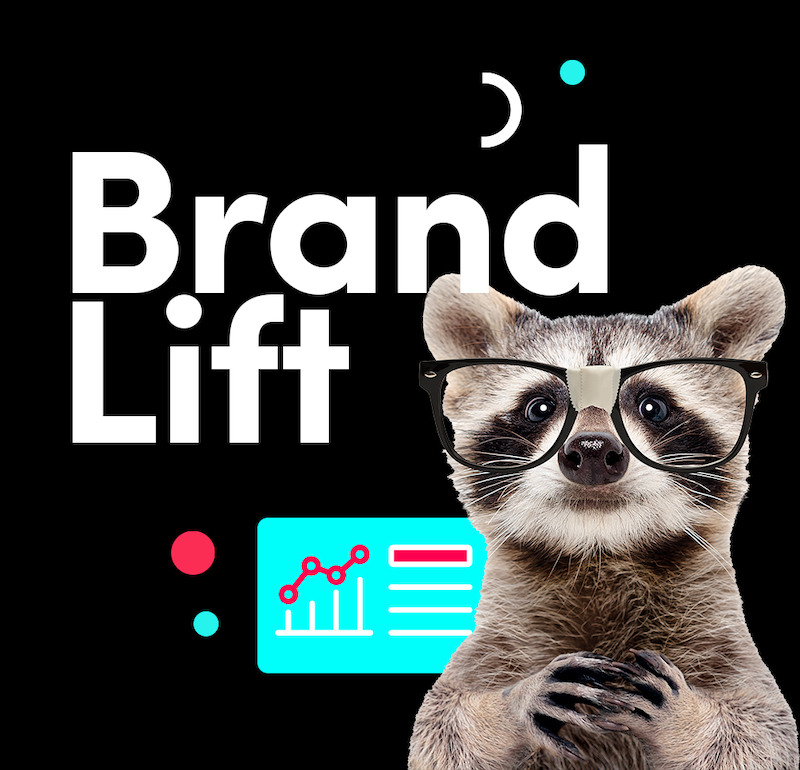 Como funciona um estudo de Brand Lift do TikTok?