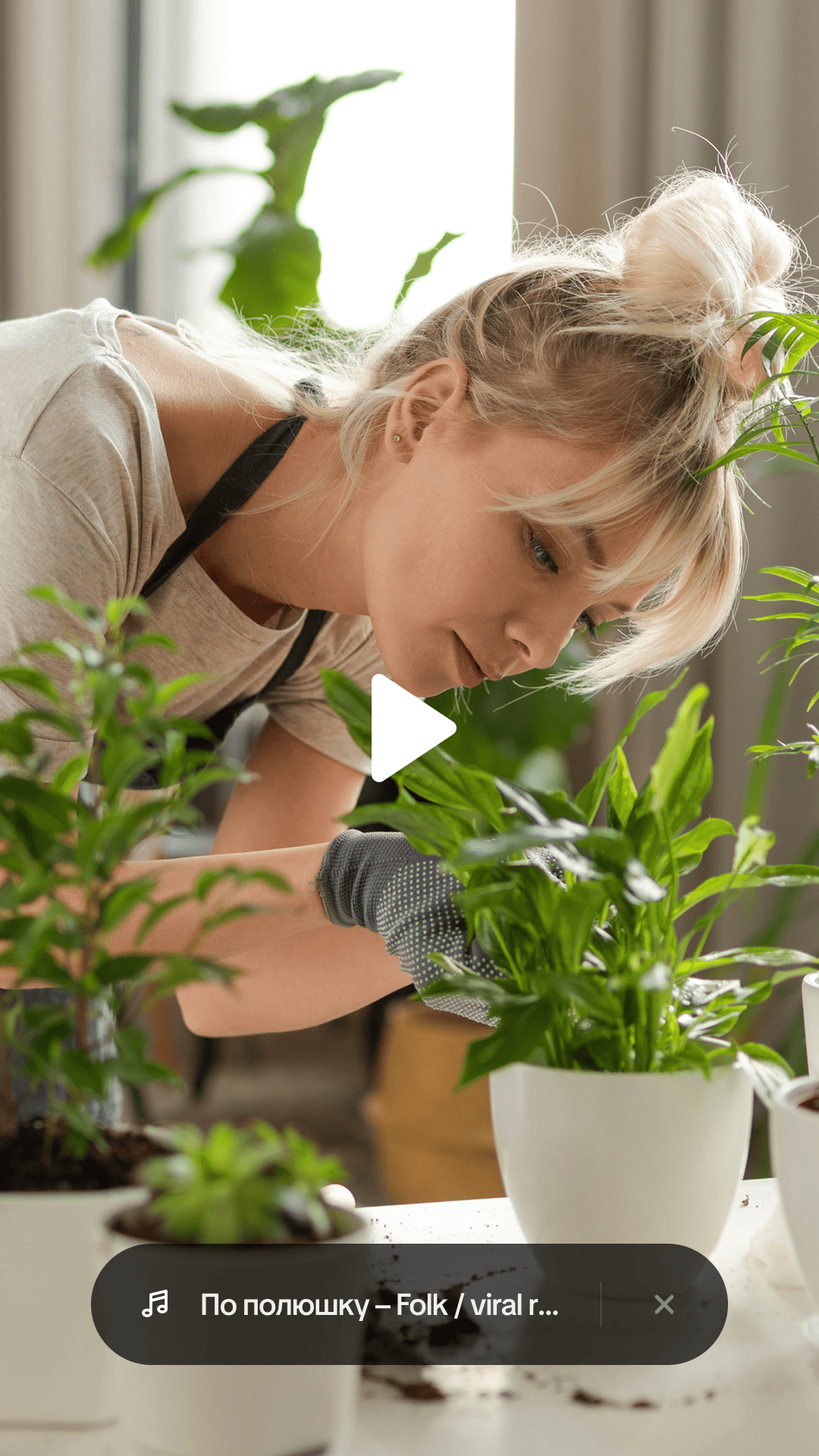 Language=Russian, Step=5