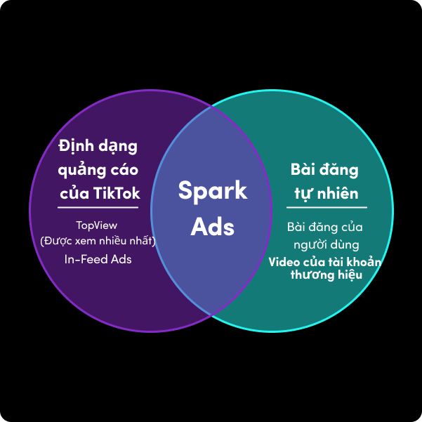 venn-vn