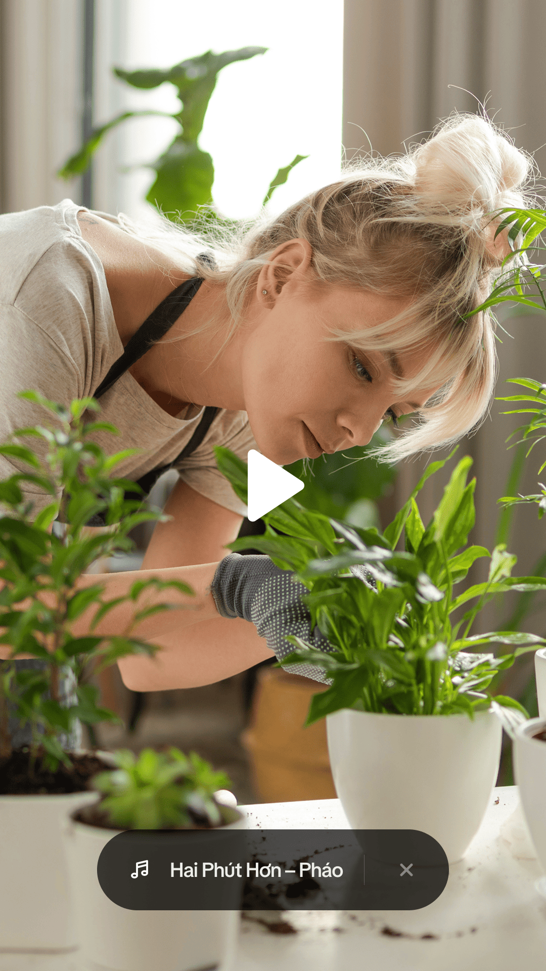 Language=Vietnamese, Step=5